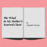 the-wind-in-my-mothers-scarred-chest-fiction