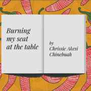 burning-my-seat-at-the-table