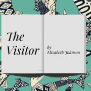 the-visitor-by-elizabeth-johnson