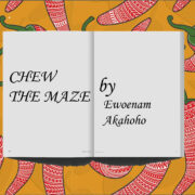 CHEW-THE-MAZE